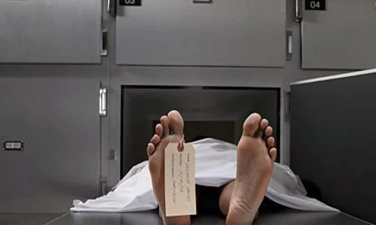 নারায়ণগঞ্জে ক্রেনের তার ছিঁড়ে ২ শ্রমিক নিহত